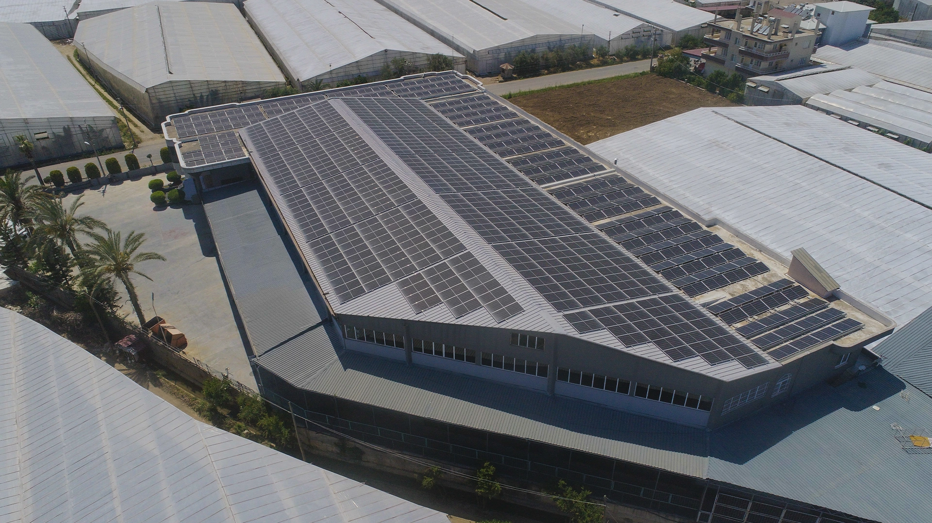 Natunaut | Power from Nature: NATUNAUT’s Journey Toward Sustainable Production